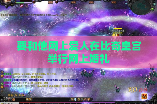 要和他网上爱人在比奇皇宫举行网上婚礼
