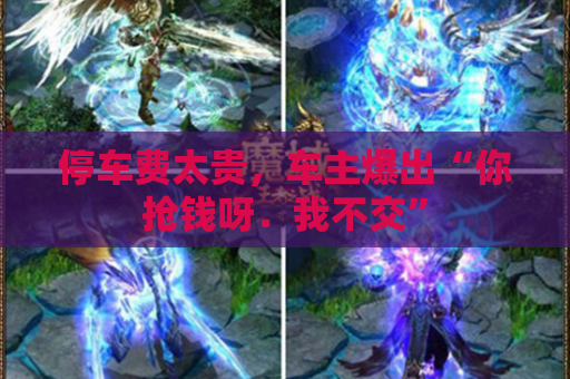停车费太贵,车主爆出“你抢钱呀.我不交” 停车费太贵,车主爆出“你抢钱呀.我不交”