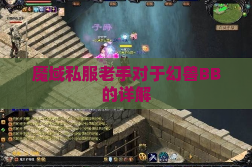 魔域私服老手对于幻兽BB的详解
