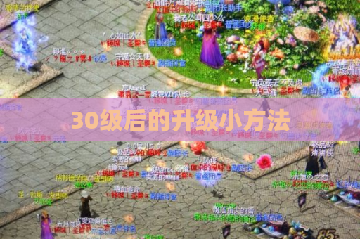 30级后的升级小方法 30级后的升级小方法