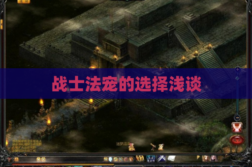 战士法宠的选择浅谈 战士法宠的选择浅谈