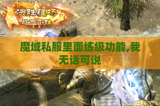 魔域私服里面练级功能,我无话可说