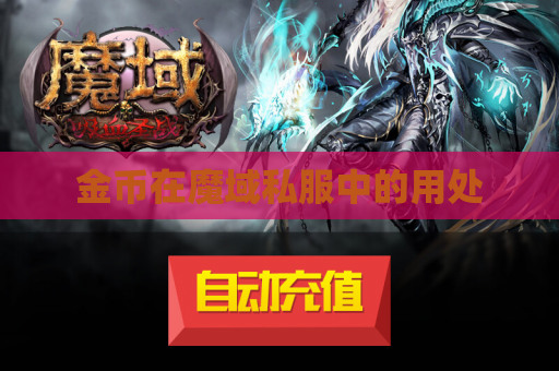 金币在魔域私服中的用处 金币在魔域私服中的用处