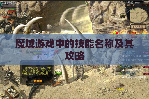 魔域游戏中的技能名称及其攻略