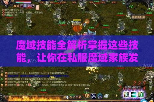 魔域技能全解析掌握这些技能，让你在私服魔域家族发布网中称霸！