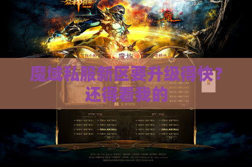 魔域私服新区要升级得快？还得看我的
